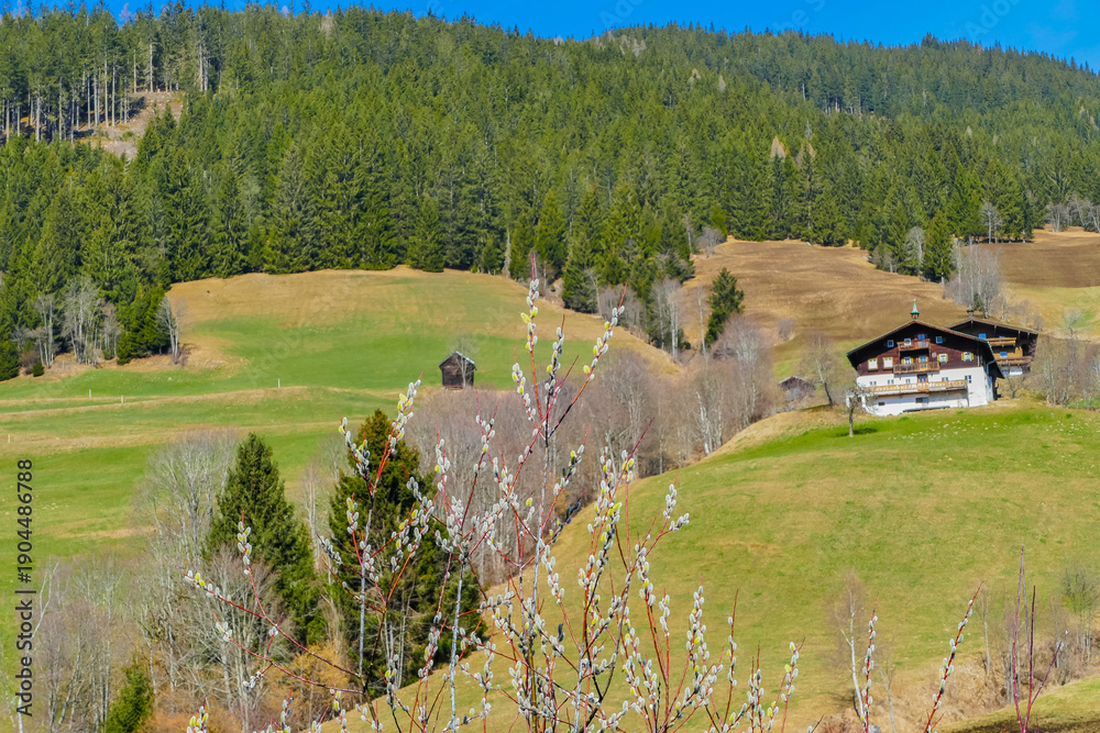 custom made wallpaper toronto digitalWeidezweige vor alpinen Motiv