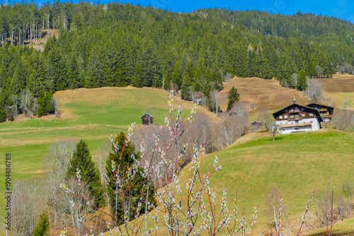 Wallpaper Mural Weidezweige vor alpinen Motiv Torontodigital.ca