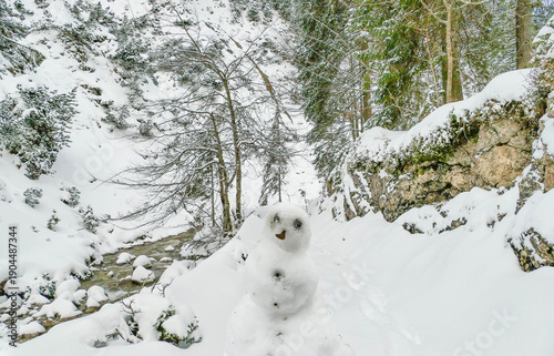 Wallpaper Mural Schneemann in Felsenschlucht Pfanngraben Winter Schnee Torontodigital.ca