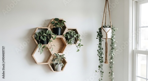 A serene indoor space featuring a honeycomb plant shelf and a macrame plant hanger near a window.