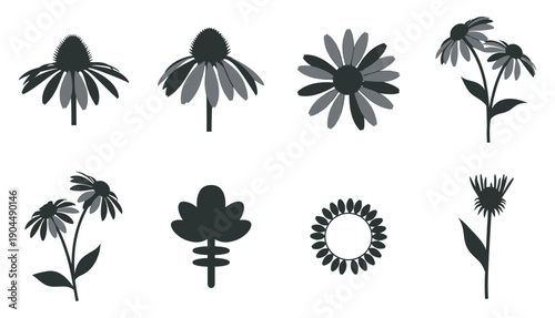 Traditional medicinal plants solid black silhouette vector