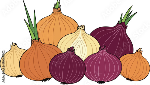 Vibrant Assortment of Onions Yellow, White, and Red Variety, Freshly Harvested