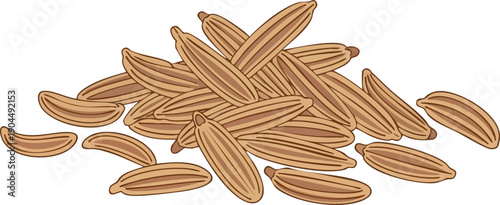 Detailed Illustration of Caraway Seeds A Versatile Culinary Ingredient