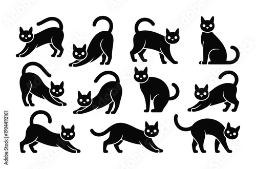 Black cats in various poses and movements in a vector illustration