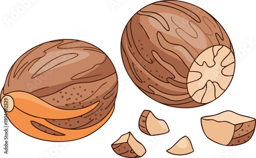 Nutmeg Delight Culinary Spice with Aromatic Flavor and Health Benefits