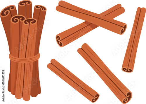 Cinnamon Sticks Illustration Aromatic Spice Detail