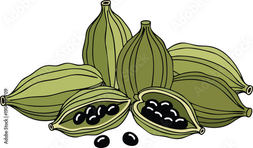 Cardamom pods and seeds Aromatic spice with green hues and culinary appeal