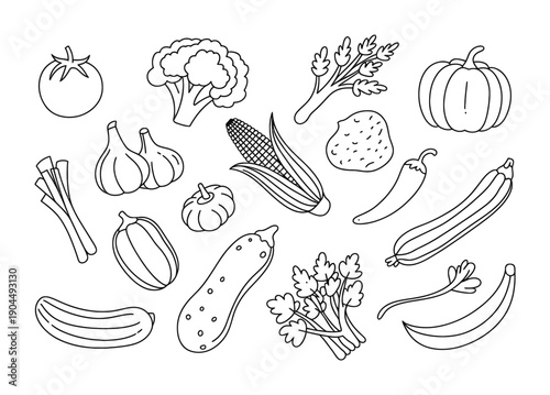 Collection of vector illustrations featuring fresh vegetables in a minimalist style