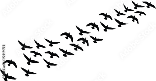 Flying birds silhouette flock formation symbolizing freedom movement unity migration success isolated on white background minimalist nature illustration