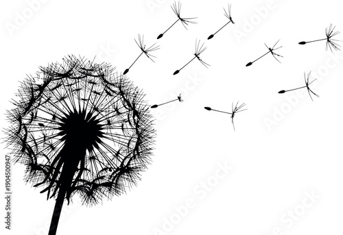 Dandelion Seed Head Silhouette Art on White Background, Minimalist Floral Design
