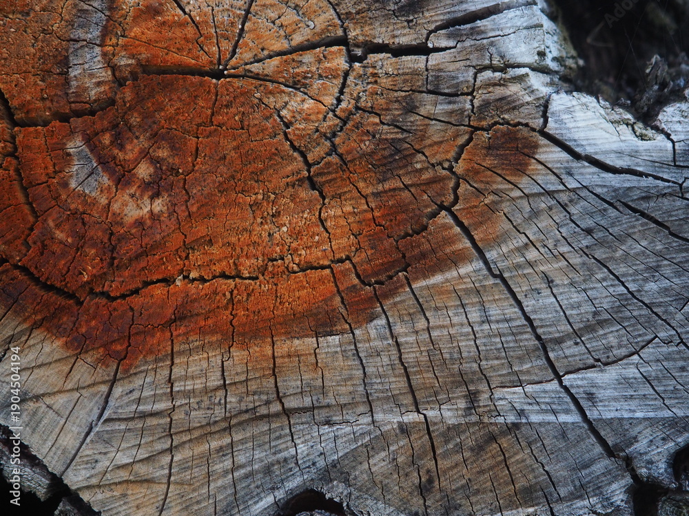 Obraz premium Weathered Wood Grain