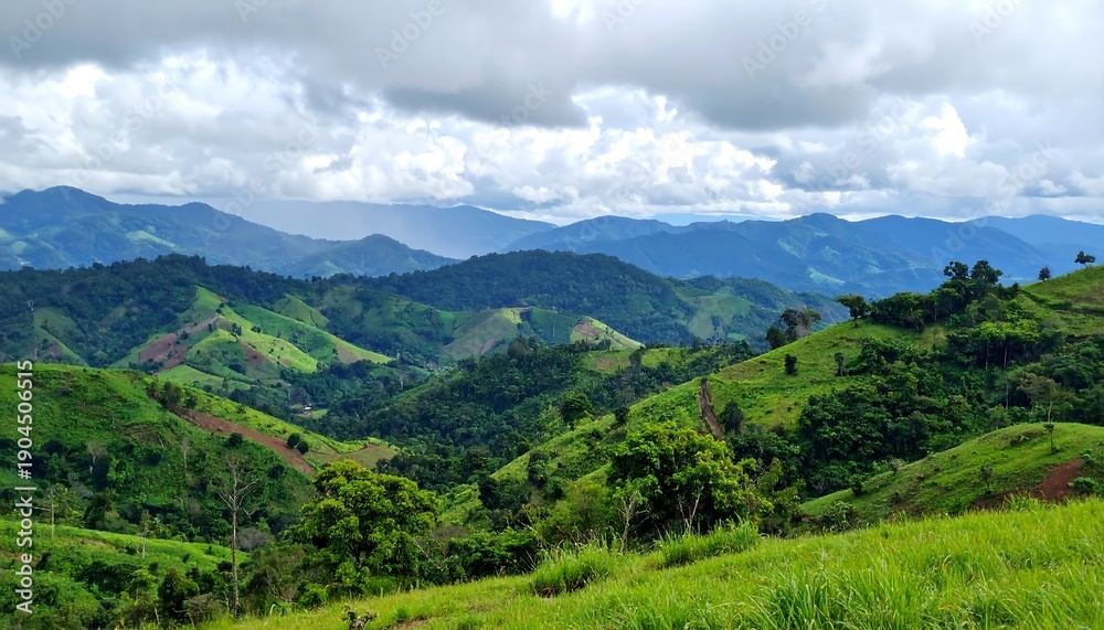Obraz premium Lush Green Rolling Hills Under a Cloudy Sky.
