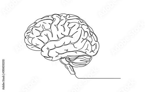 brain continuous one line drawing, Continuous one line drawing of human brain.
