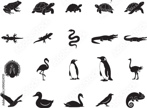 A collection of black silhouettes of various animals including reptiles birds and mammals on a white background for educational or illustrative purposes