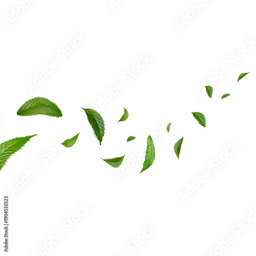 Path of Flying Green Leaves Spiraling Through the Air Isolated on White Background for Fresh Beauty and Wellness Branding
