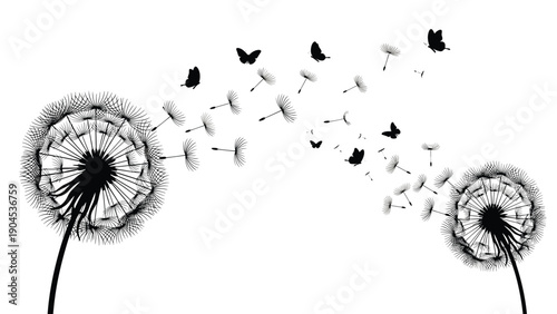 Black silhouette of dandelions with seeds blowing away in the wind and butterflies flying in a graceful arc against white background.