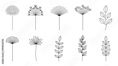 Minimalist botanical collection featuring various hand drawn line art styles of leaves and floral stalks on a white background.
