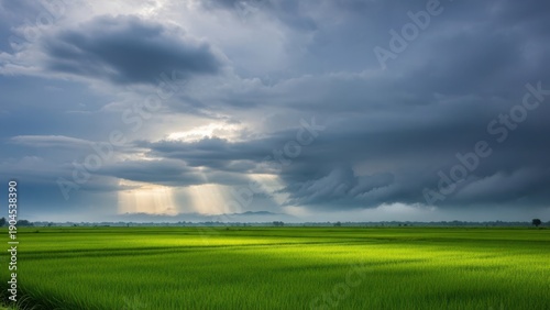 vast green field under dramatic storm cloud