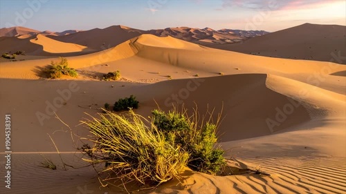 Wallpaper Mural Golden light bathes desert dunes with sparse vegetation and wind-formed patterns Torontodigital.ca