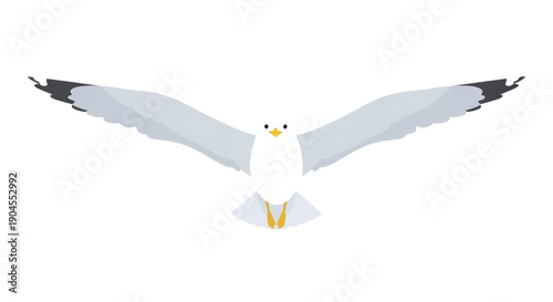 A white seagull with outstretched wings and black wingtips flies directly towards the viewer, showcasing its yellow beak and feet. isolated PNG with Transparent Background