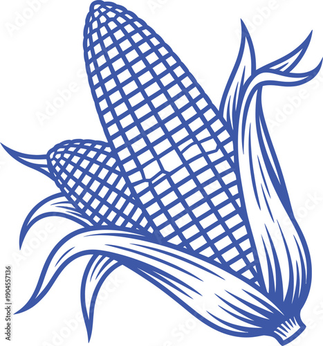 Two Blue Corn Cobs with Leaves maize food