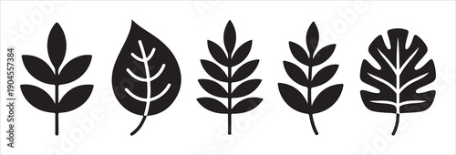 Collection of artistic foliage silhouettes including monstera and compound leaves for trendy interior design art