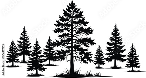 Black pine tree forest silhouette illustration with tall evergreen conifers, minimal nature landscape design, isolated on white background for environmental, woodland, and outdoor concepts