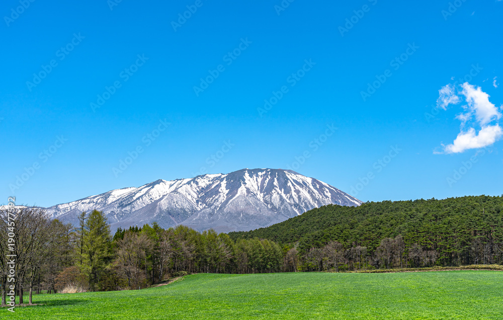 Fototapeta premium Beauty nature view, snowcapped mountain range in background, forest and green grassland in foreground with clear blue sky in springtime season sunny day morning, beauty rural natural landscape scene