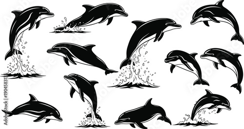 Black and white dolphin vector silhouettes set featuring jumping sea mammals in various poses with water splashes for marine designs