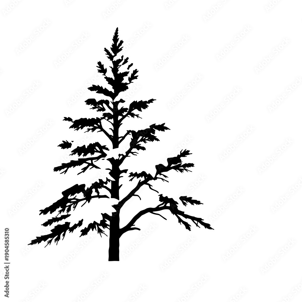 Obraz premium Snow-Capped Pine Tree with Moon Silhouette