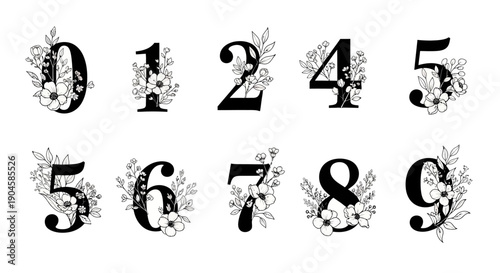 Decorative floral numbers set with black and white illustrations on a clean background