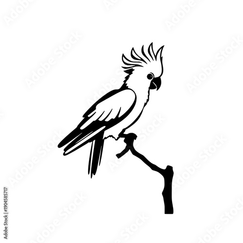 Stylized Cockatoo Perch Silhouette