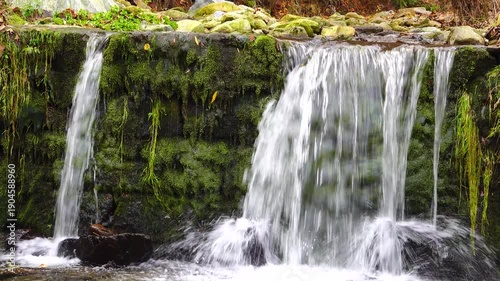 small mountain river flows over the stones overgrown with moss. natural sound