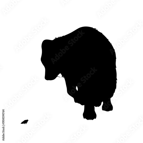 Arctic Fox Crouched Low Silhouette