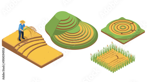 Farmer harvesting on terraced rice fields with different isometric patterns