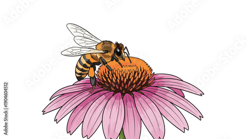 Detailed illustration of a honeybee busy pollinating a bright purple coneflower or echinacea in a sunny garden setting.