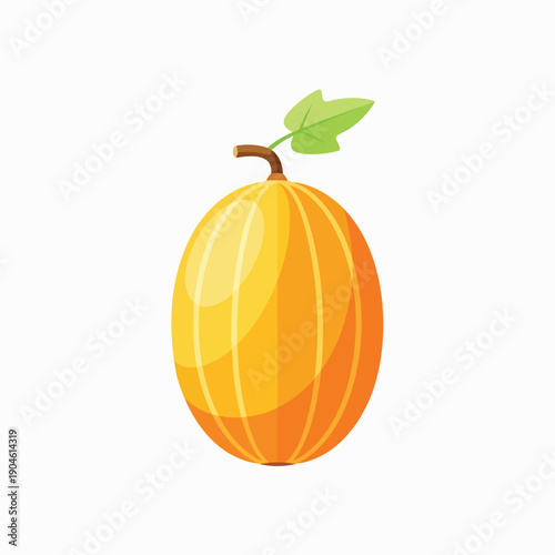 Cartoon cantaloupe melon fruit with green leaf and stem on white background