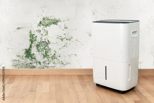 Dehumidifier near damp wall with mold and home humidity problem with copy space.