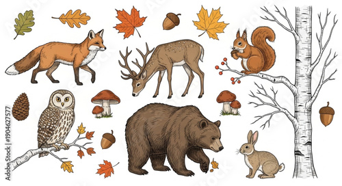 Forest Animals and Autumn Leaves Illustration.