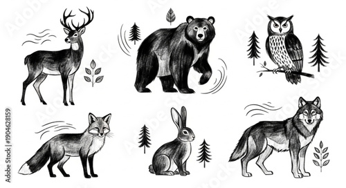 Forest Animals Collection Hand Drawn Illustration.