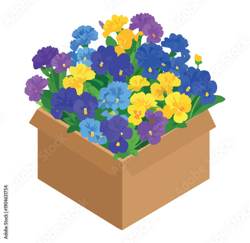 Cardboard box full of bright spring pansy flowers. Colorful garden blossoms in purple, blue, and yellow colors. Isometric vector illustration for flower shop, delivery, and gardening design.