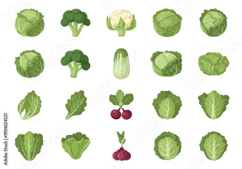 Collection of cartoon green vegetables including cabbage, broccoli, cauliflower, lettuce, radish, and onion illustrations for healthy food design