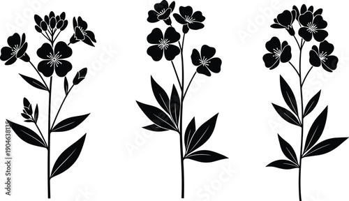 Flowering plant silhouette illustration set in black design featuring three unique floral arrangements with blossoms, leaves, and stems for decorative, botanical, and design purposes