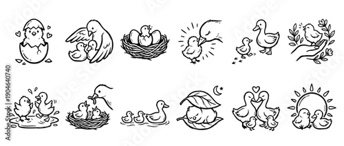 Collection of twelve charming doodle icons featuring baby chicks and ducklings with their parents, depicting scenes of love, care, and new life in a simple black and white sketch style