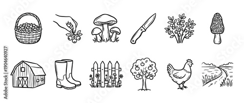 Set of hand-drawn farming and foraging icons including a basket of berries, mushrooms, a barn, and a chicken, rendered in a simple black and white line art doodle style