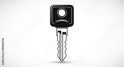 old key with remote control