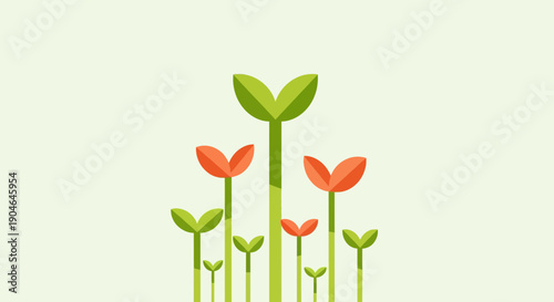 Sprouting Seedlings with Red and Green Leaves.