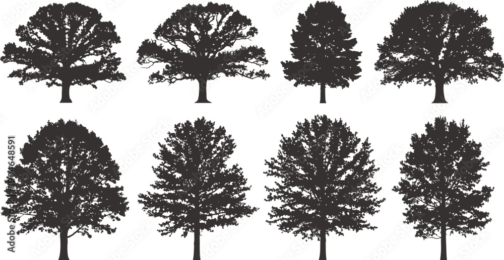 Fototapeta premium Collection of eight dark brown trees on white background