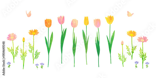 Vector illustration of spring flowers such as tulips and marguerites painted with watercolor and pastel.