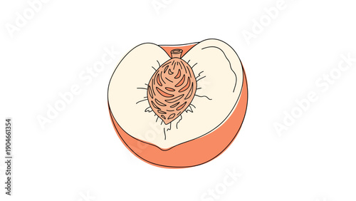 Detailed illustration of half a ripe peach showing the inner flesh and large textured pit against a white background.